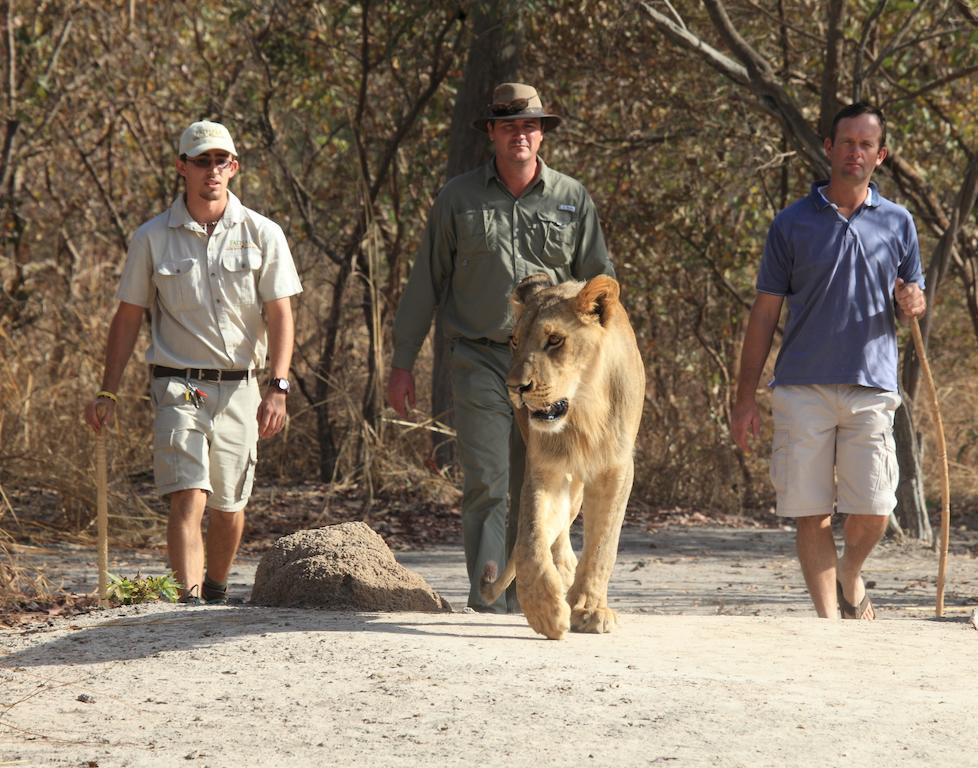 Fathala Wildlife Reserve Toubakouta 外观 照片