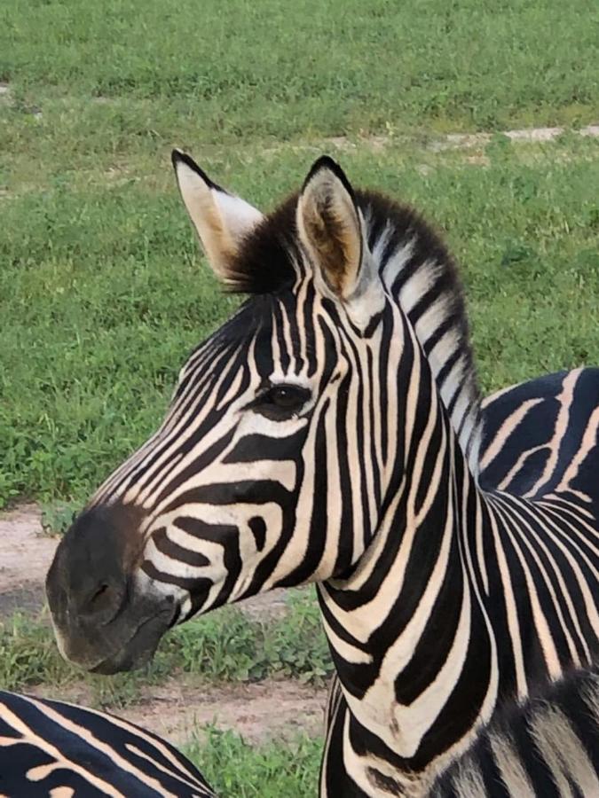 Fathala Wildlife Reserve Toubakouta 外观 照片